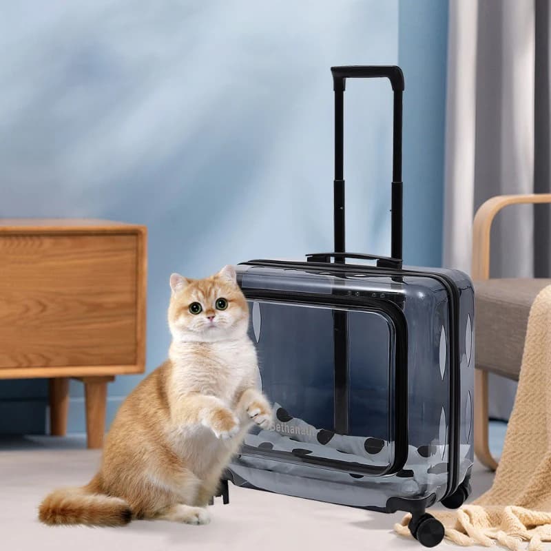 Passeggini Trasparenti per Gatti da Viaggio, con Ruote, di Lusso, Traspiranti, Portatili, Valigie Trolley per Animali Domestici