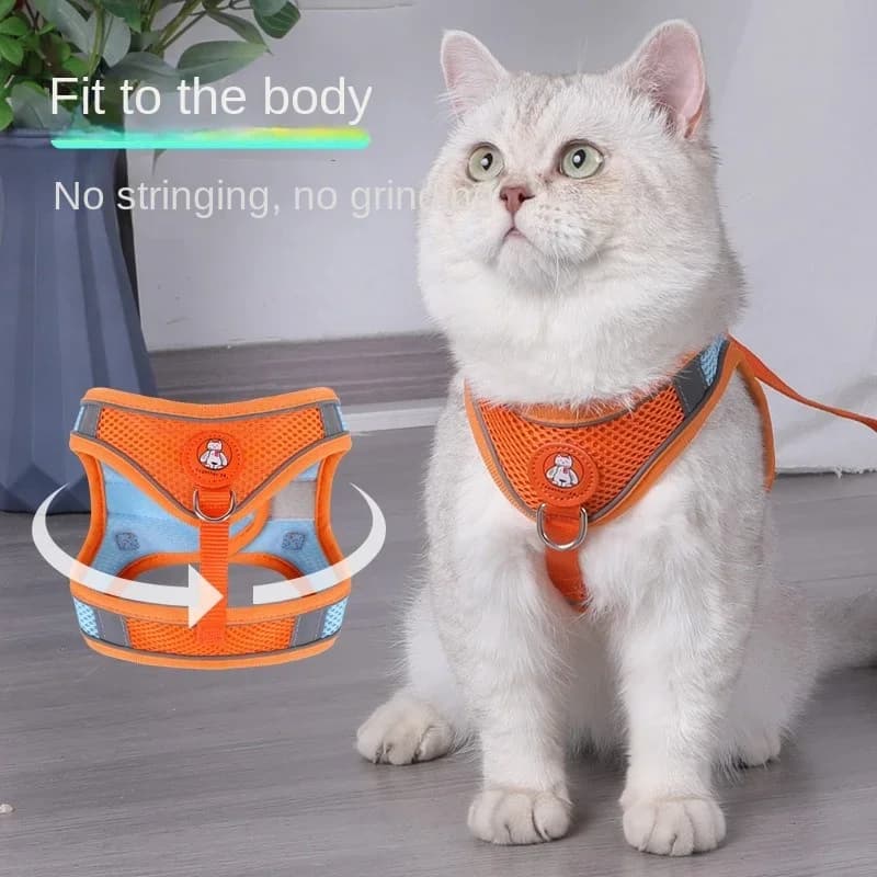 Pettorina riflettente traspirante per cani e gatti con guinzaglio-comoda pettorina per passeggiate sicure