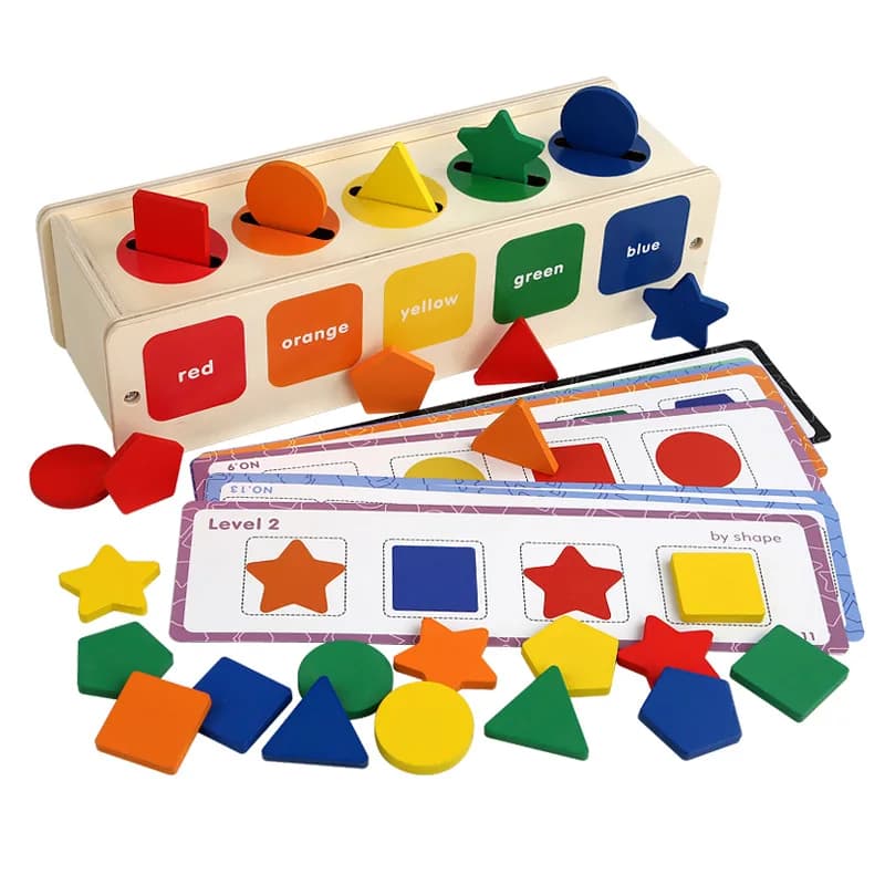 Giocattoli in legno Montessori per bambini Scatola per esercizi di smistamento sensoriale Colore e forma Puzzle di blocchi educativi precoci Giocattoli per l'apprendimento del bambino