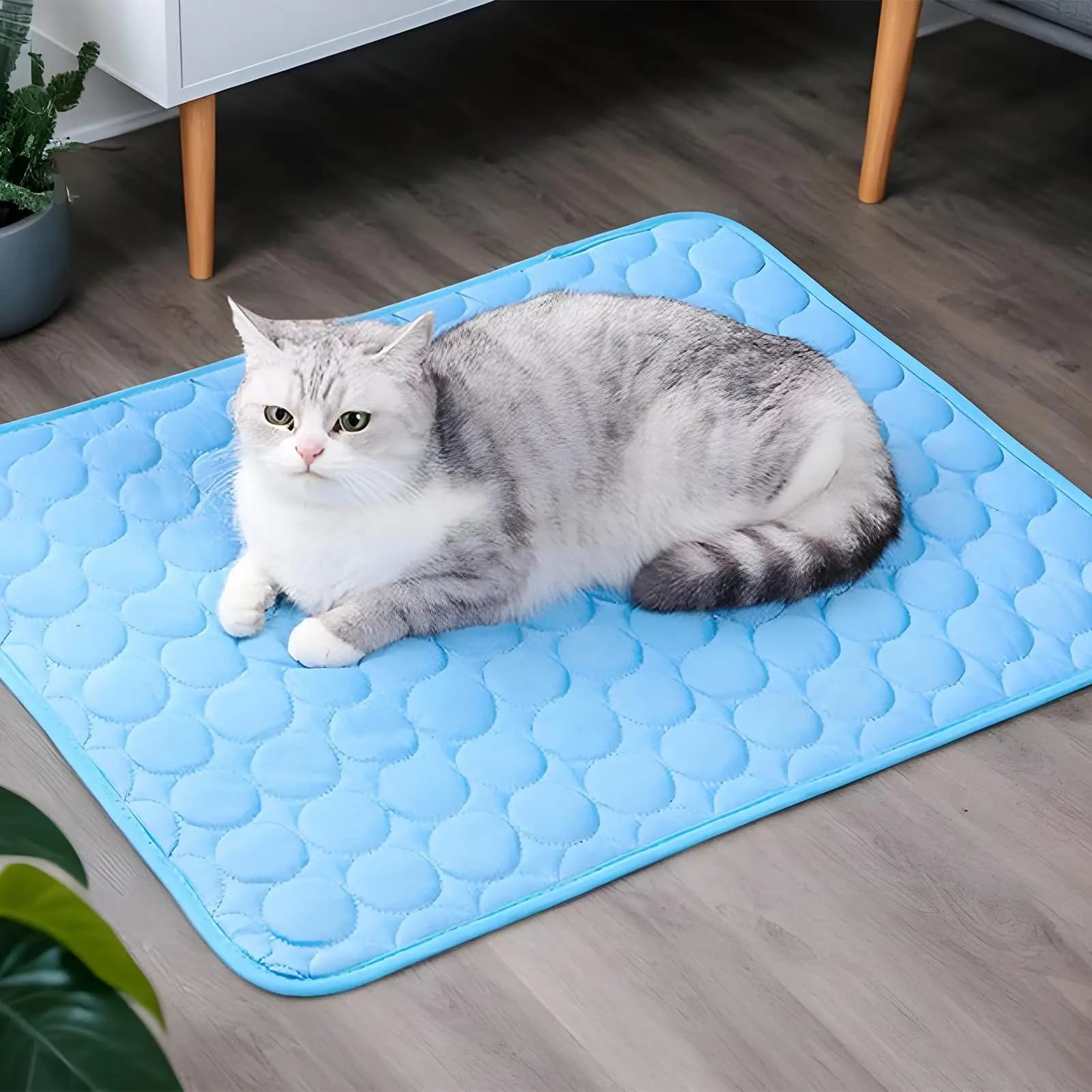 Summer Pet Bed Mat Skin Friendly Material Heat Dissipation Effect Practical Cushion For Daily Rest Of Household Dogs