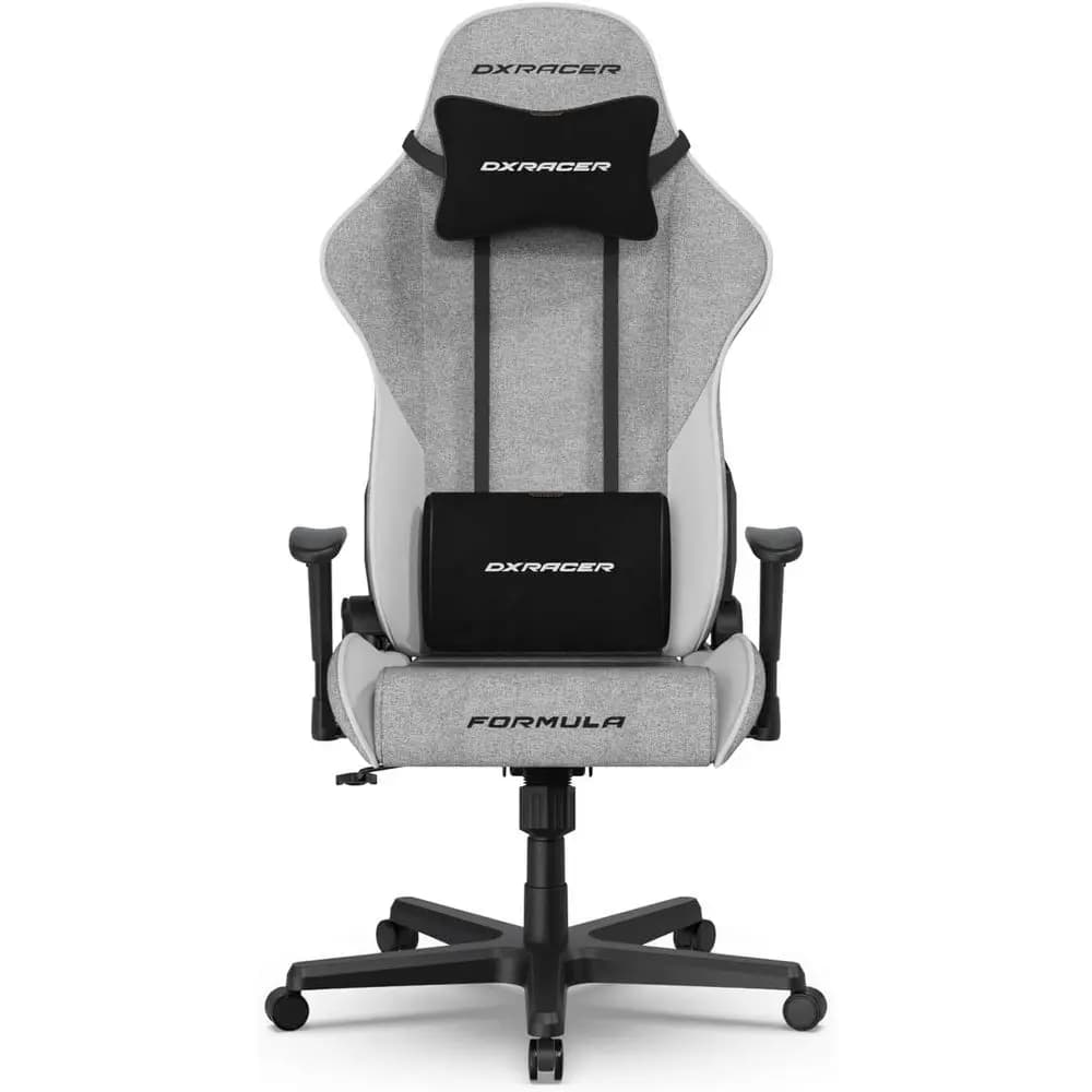 Sedia da Gaming Ergonomica per Adulti: Sedia da Ufficio Reclinabile con Supporto Lombare, Tessuto Resistente all'Acqua, Grigio e Bianco