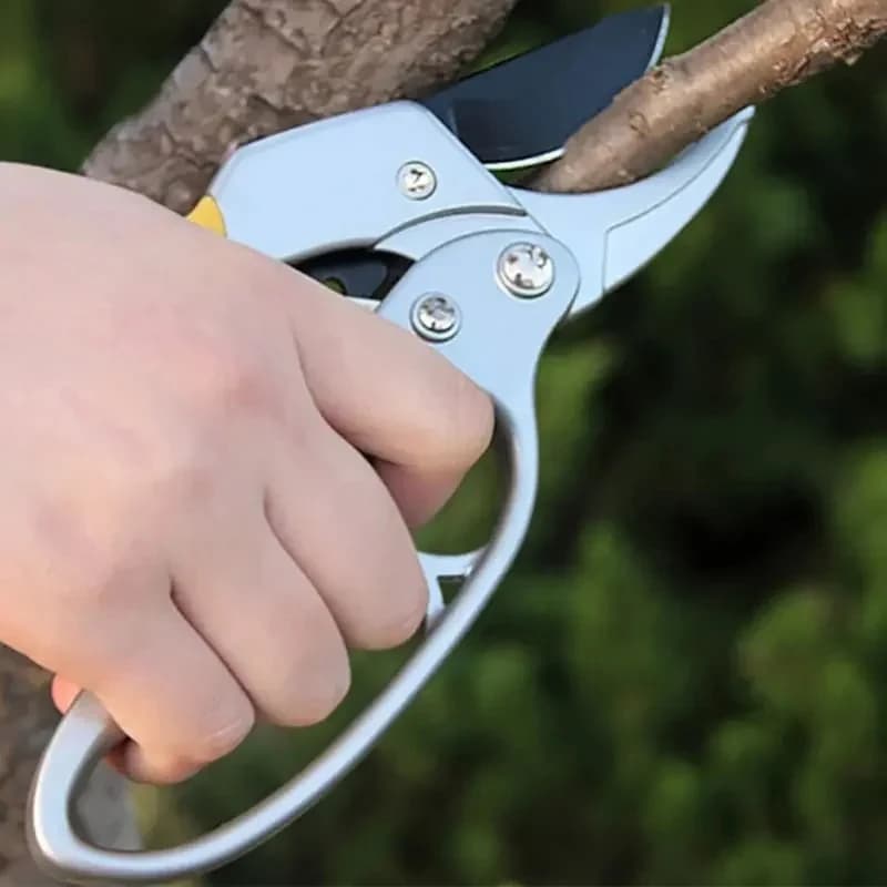 Garden Pruning Shear High Carbon Steel Pruner Trimmer Tools Pruning Shears Cutter Gardening Plant Scissor Branch