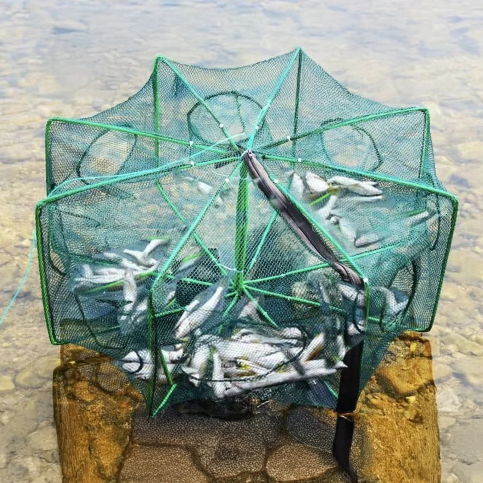 Efficient Fishing Trap Net Cage Durable for Creek Pond River Outdoor Fishing Aquaculture Use Shrimp Eel Catcher Tool Gear