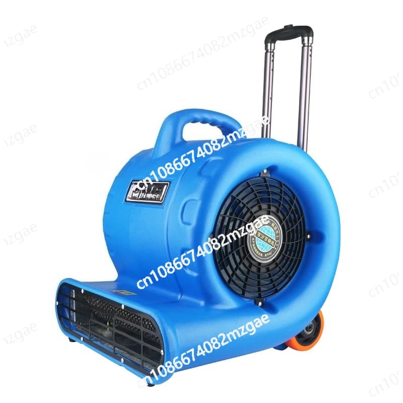 Asciugacapelli Asciugatura commerciale ad alta potenza dell'hotel Asciugacapelli caldo e freddo Toilette per tappeti Deumidificazione del pavimento Ventilatore