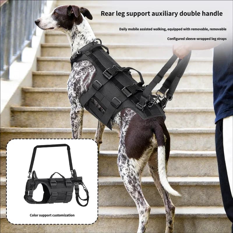 Pet Assisted Harness Disabled Dog Rehabilitation Exercise Waterproof Nylon Fabric Adjustable Dog Harness