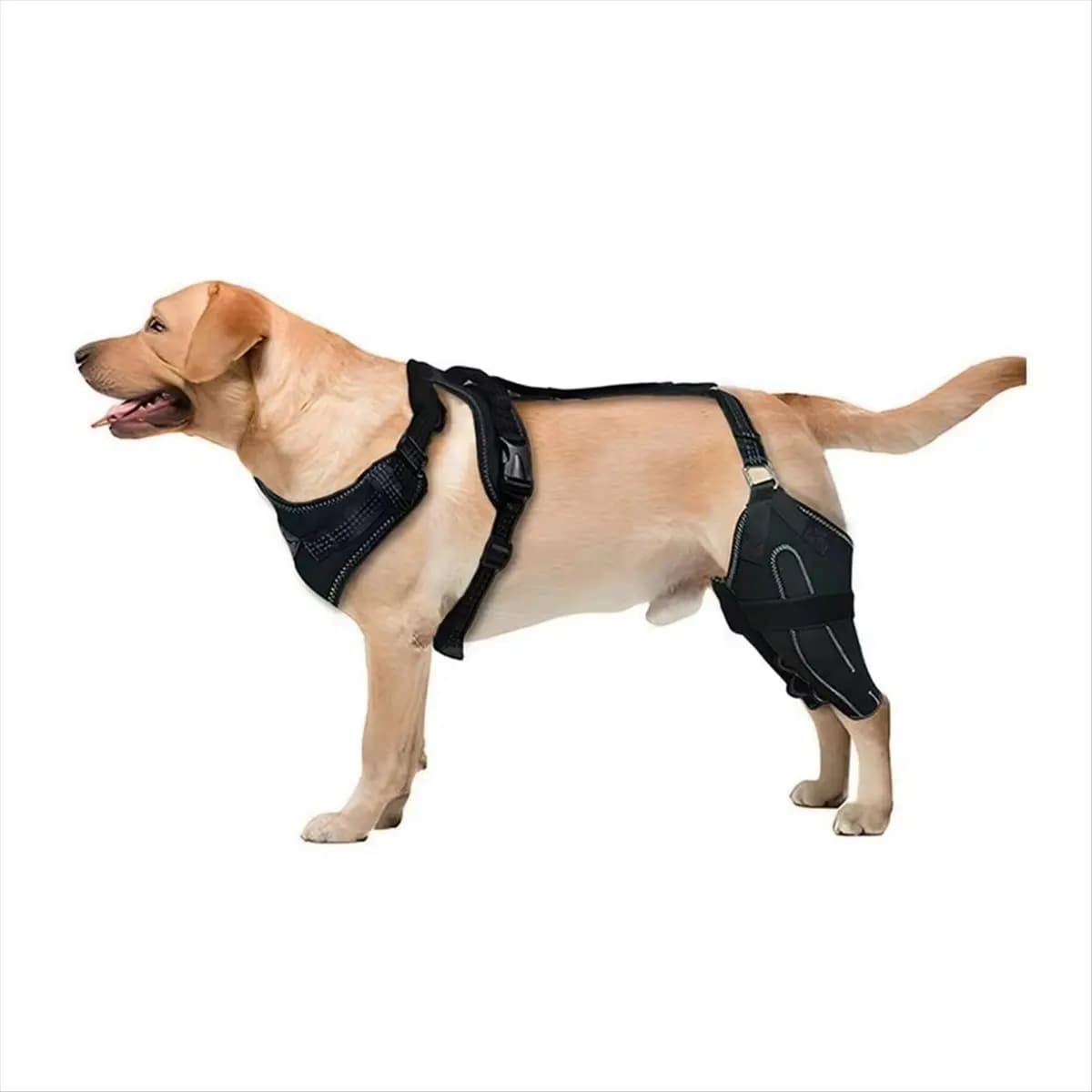 Ginocchiera per collare per cani grande per gamba posteriore Supporto per tutore per gamba per ginocchio per anca per cani per artrite asiatica L