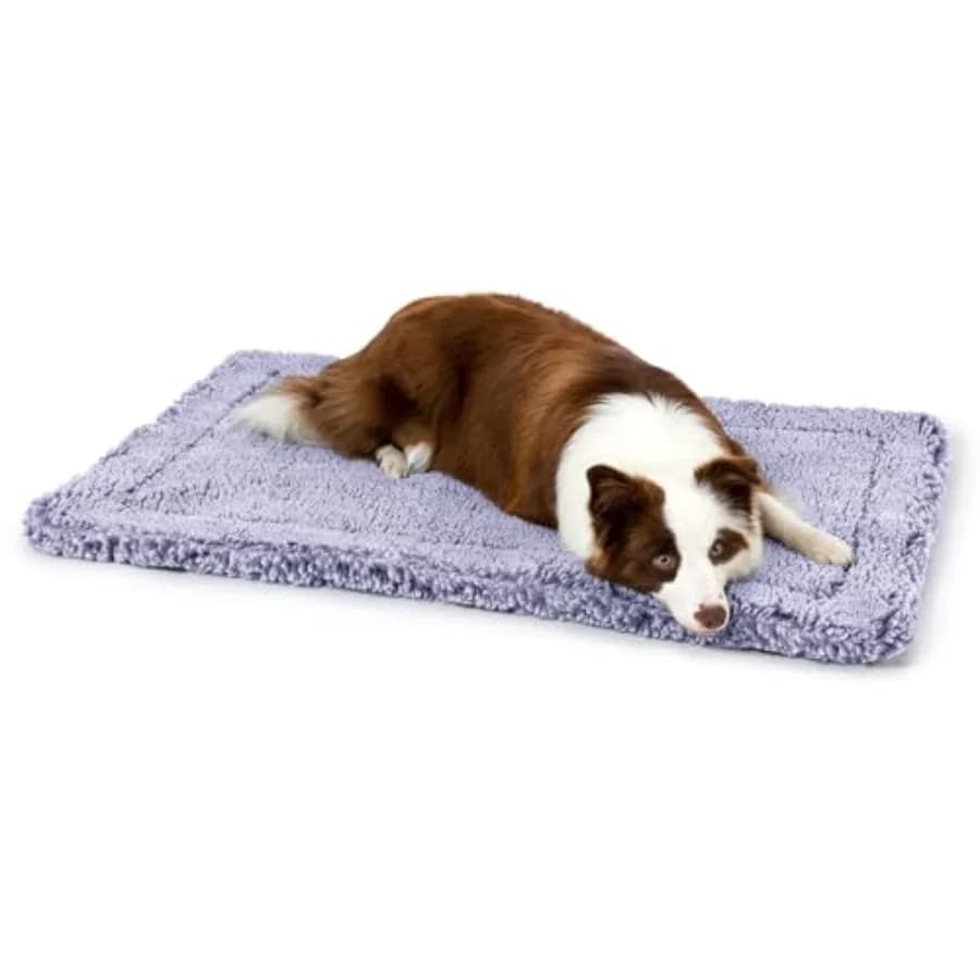 Stoutwool Cuccia Indistruttibile per Cani - Cuscino Morbido Anti-Morso per Gabbia - Tappetino Resistente per Cani che Masticano Aggressivamente - Lavabile, Ideale per