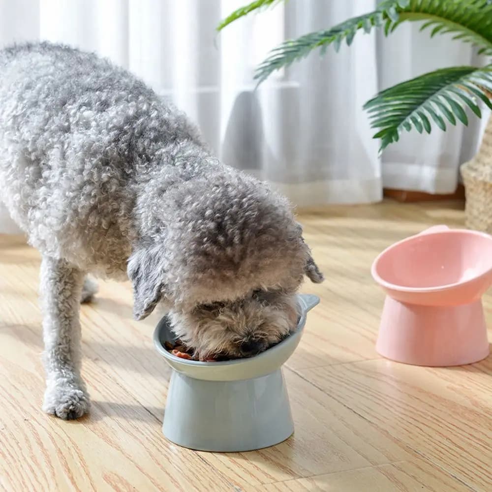 Anti-overturning for Cats Puppy Stand Bowls Pet Feeder Bowl Food Water Bowl Pet Products Feeding Cup Dog Elevated Bowls