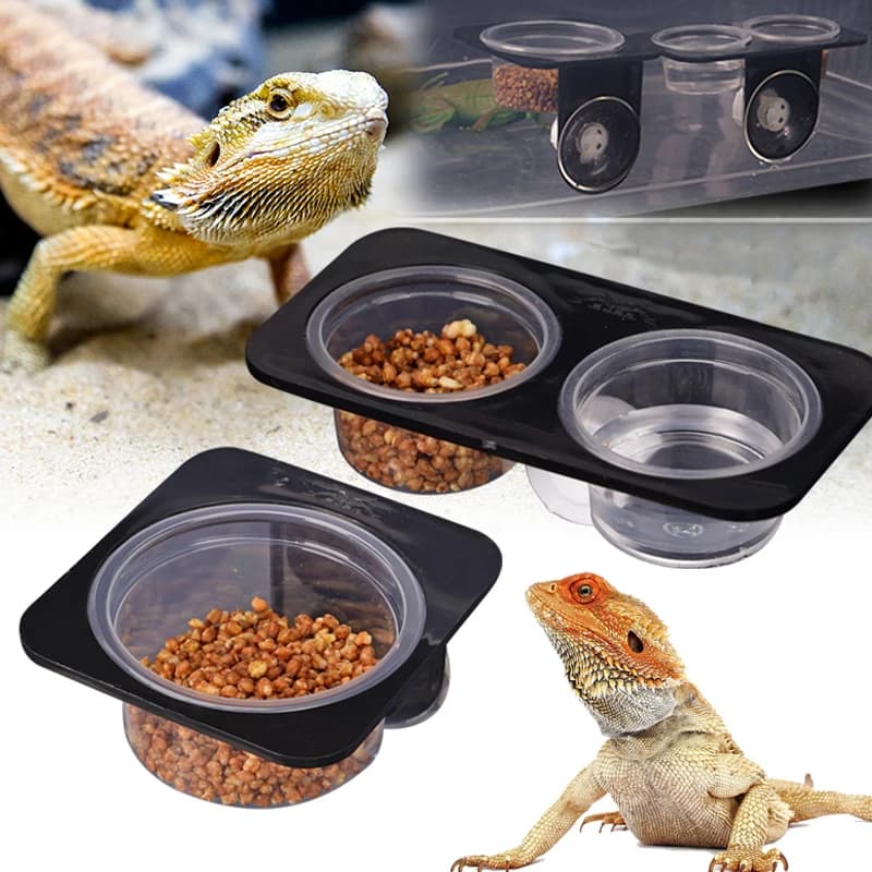 Reptile Feeder with Suction Cup Reptile Feeders Feeding Bowls Food Container with Bowl for Reptile Food and Water Feeding
