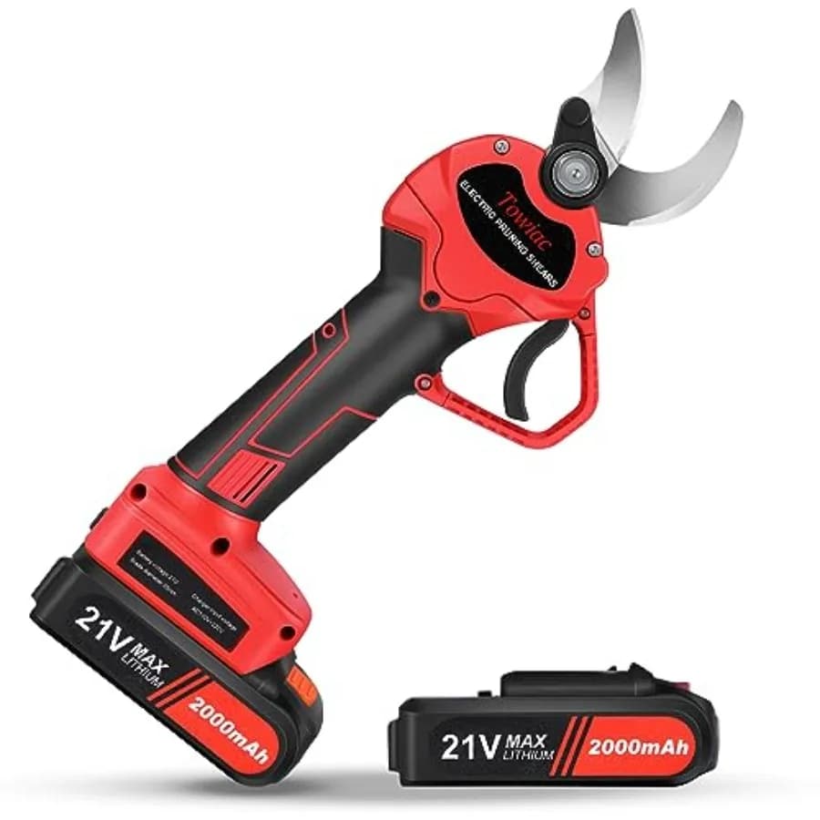 Forbici Elettriche Professionali per Potatura Senza Fili con 2 Batterie al Litio e Utensili Abbinati, Taglio 30mm 1.2″