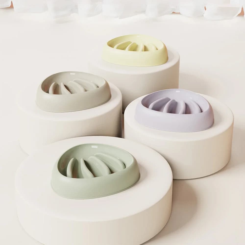 1 PC Colore casuale a forma di conchiglia Cane a mangiare lento Ciotola antisoffocamento Dispenser di cibo per cani da compagnia Gatti Protezione del collo Mangiare sano
