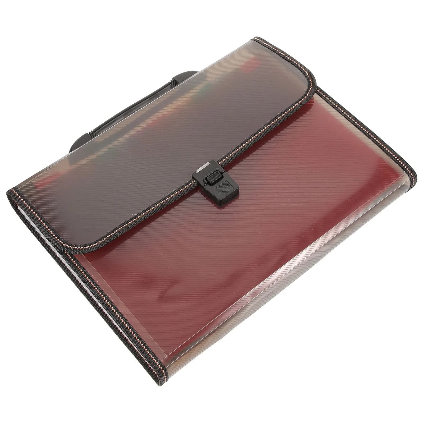Cartella Portadocumenti Espandibile a Fisarmonica Formato A4, Organizer Portatile Leggero in PP per Documenti, Ricevute, Fatture, Buoni