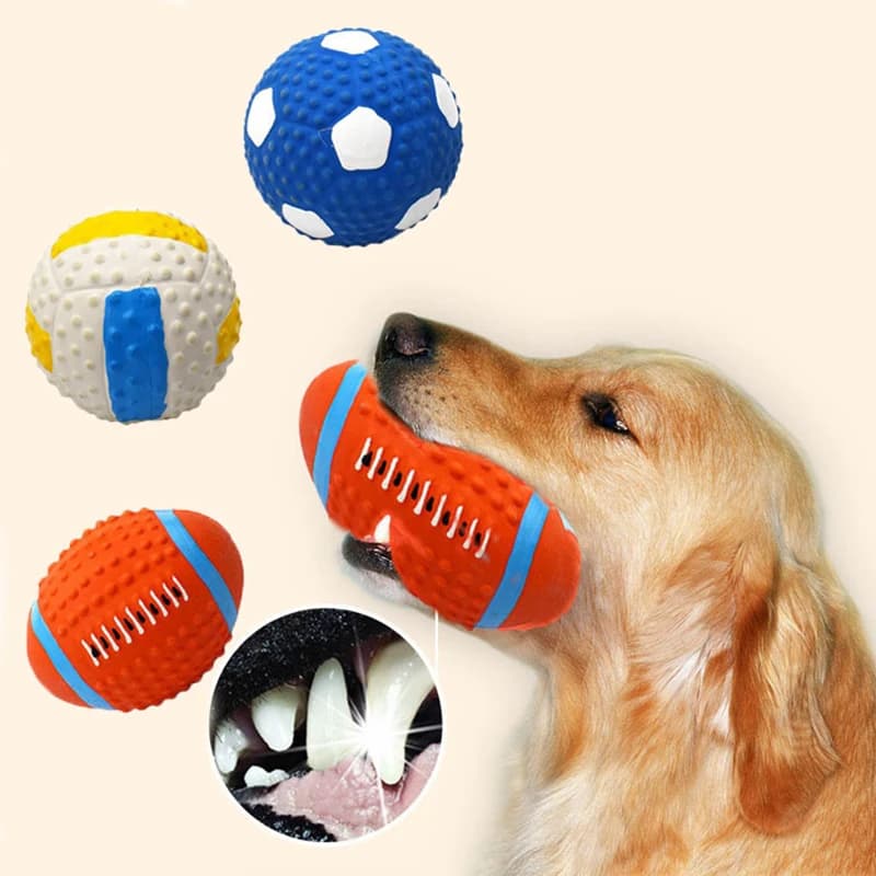Giocattoli per cani da compagnia Colonna sonora in lattice rugby calcio pallavolo Colonna sonora giocattolo resistente ai morsi sfiato giocattolo per gatti cigolanti