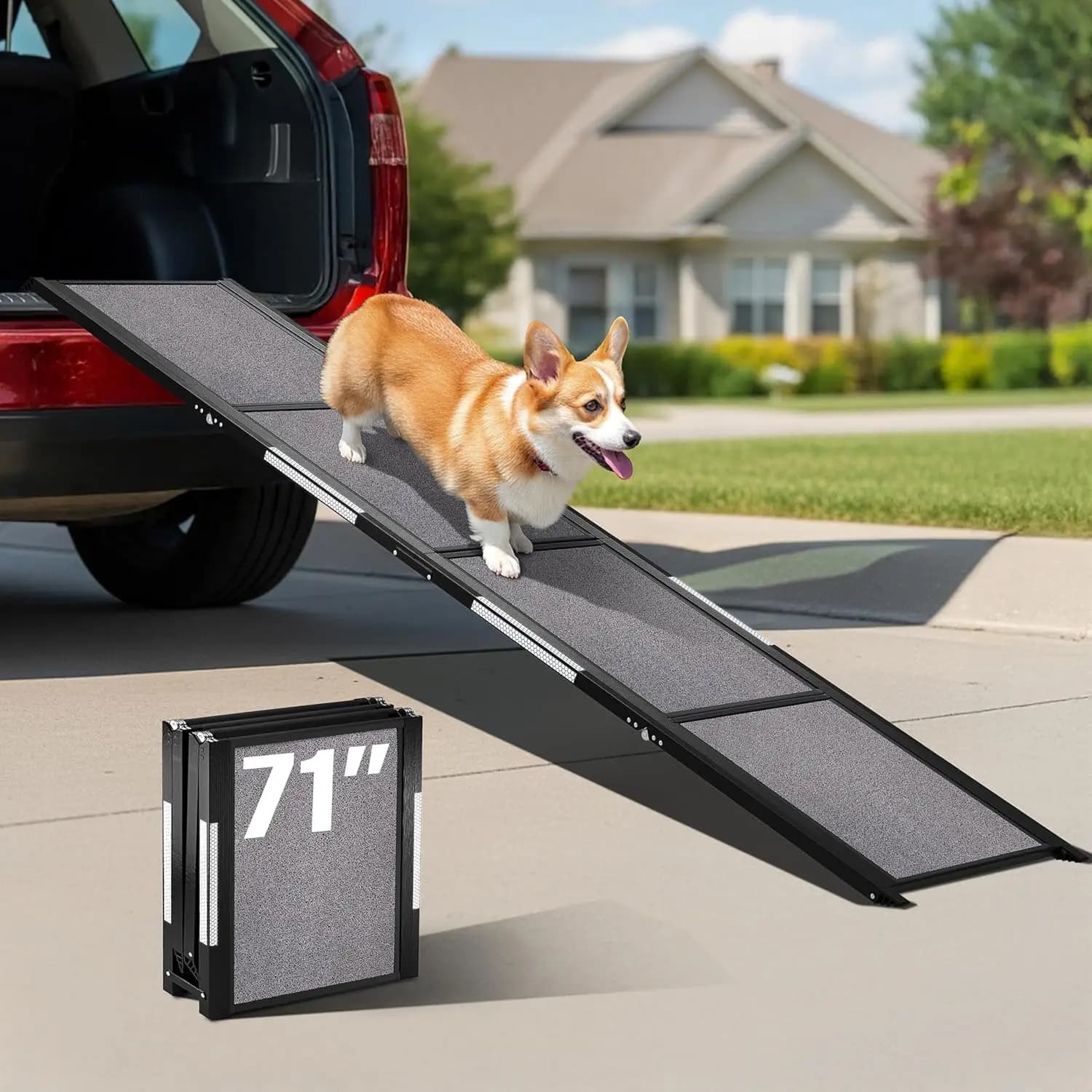 Rampa pieghevole per cani da auto 71"L x 17"W per SUV, camion, letto e divano, antiscivolo, per razze piccole e grandi