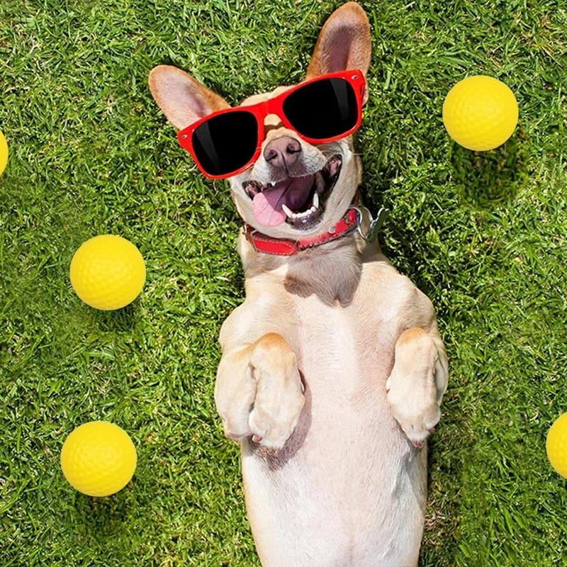 Giocattoli da Masticare Durevoli per Cani, Confezione da 2-10 Palline da Tennis Squeaky per Cani Piccoli, Cuccioli, Masticazione, Dentizione, Gioco all'Aperto, Addestramento
