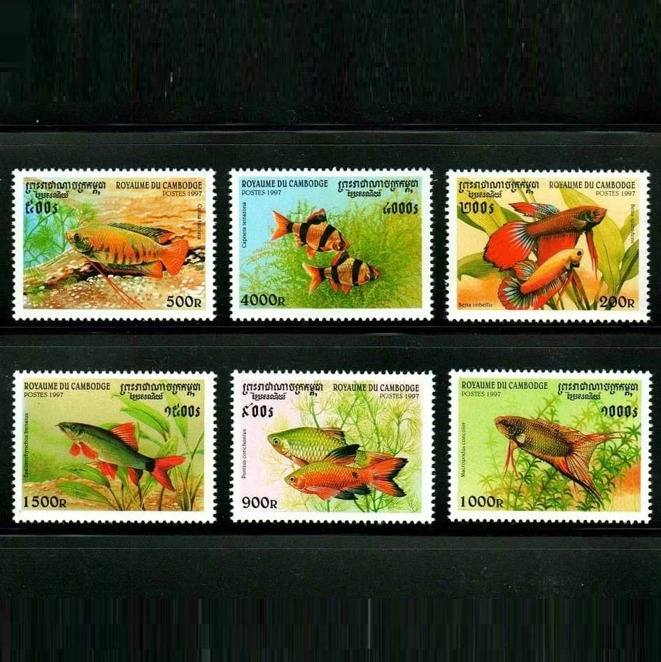 6Pcs/Set New Cambodia Post Stamp 1997 Tropical Fish Stamps MNH