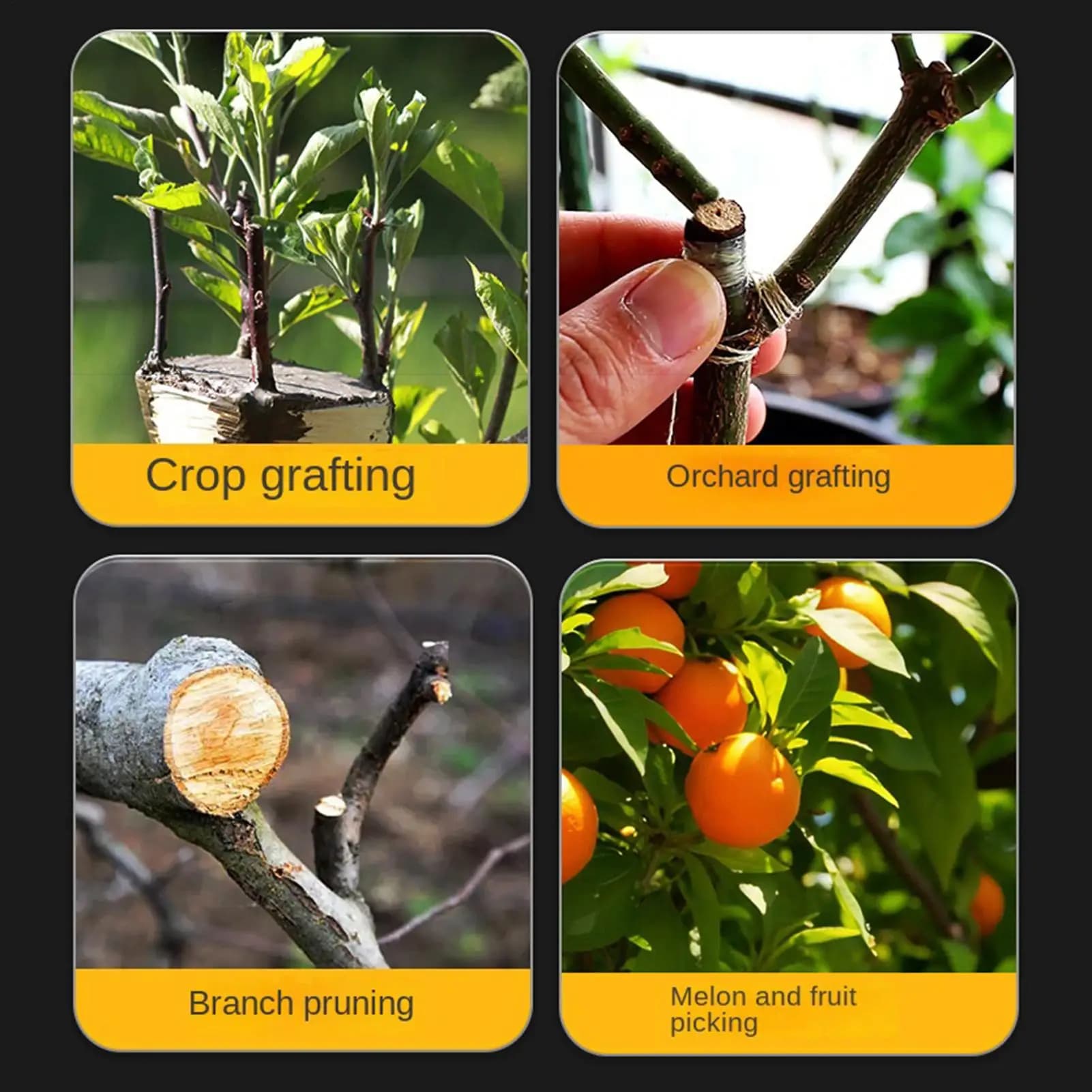 Precision ergonomic pruning scissors for gardening, ideal for grafting, home, courtyard and balcony