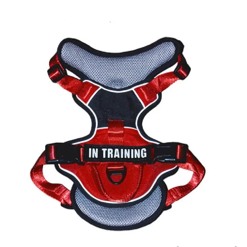 Pettorina per cani di grandi dimensioni Corgi Shiba Inu Samoiedo Border Collie Husky Labrador Golden Retriever Dobermann Abbigliamento per animali di grandi dimensioni