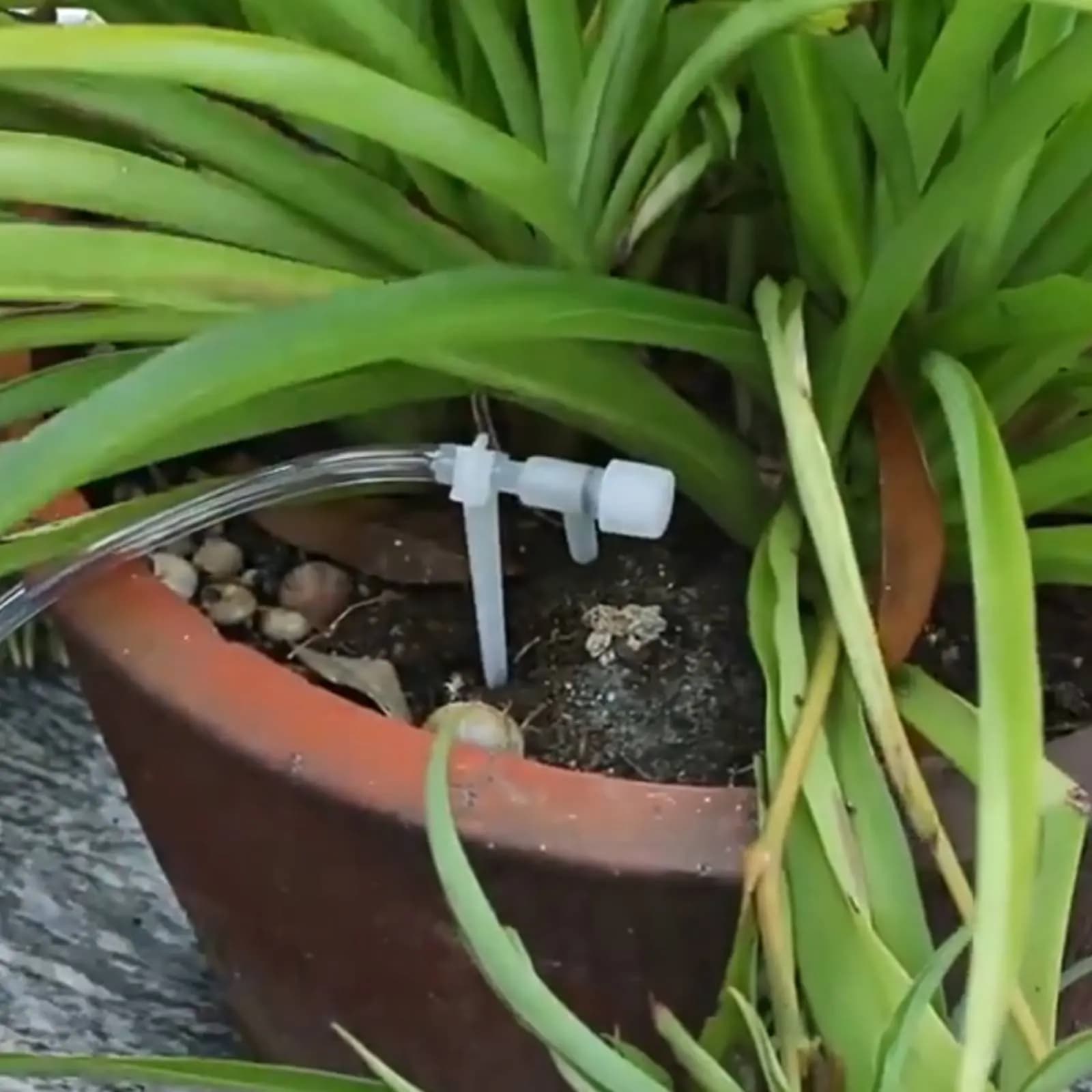 Irrigatore a Goccia Automatico con Controllo Preciso dell'Acqua, Picchetto Regolabile per Irrigazione, Accessorio da Giardinaggio Facile da Usare