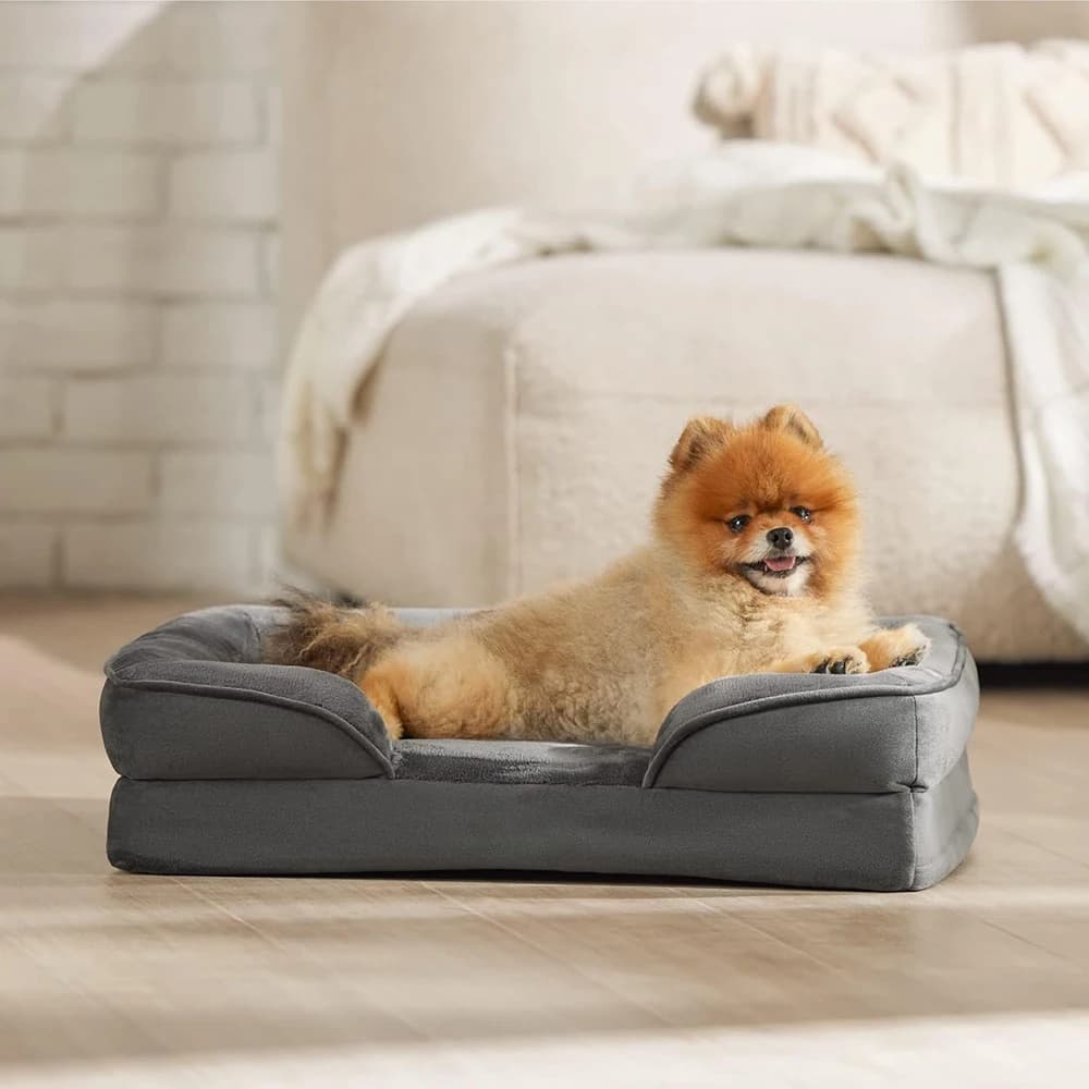 Letto per cani ortopedico caldo invernale Divano per gatti comfort lavabile impermeabile Divano letto per animali di medie dimensioni Divano con copertura rimovibile per cani gatti