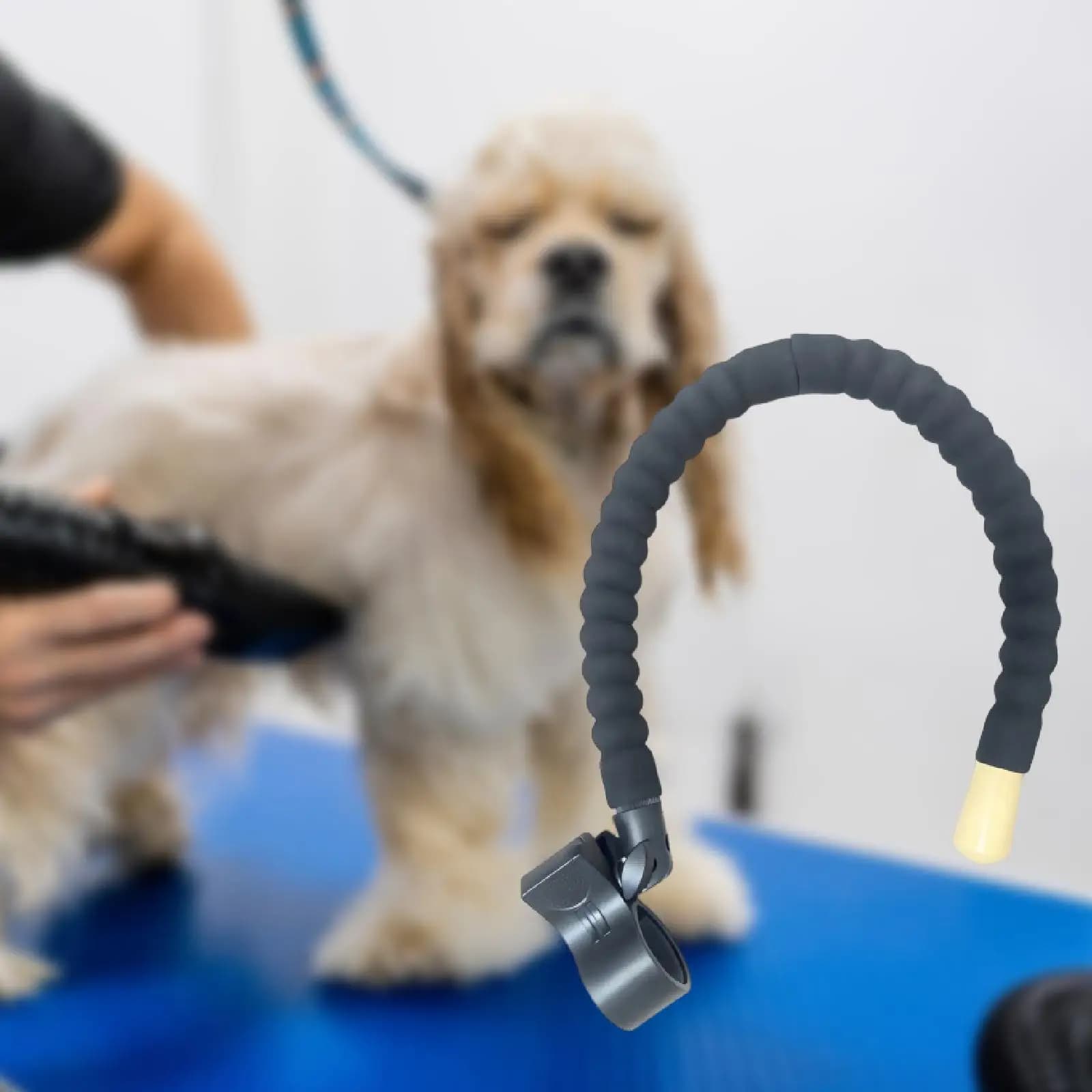 Supporto Flessibile per Asciugacapelli per Cani, Accessori per Toelettatura, Strumenti per la Pulizia e il Bagno degli Animali Domestici