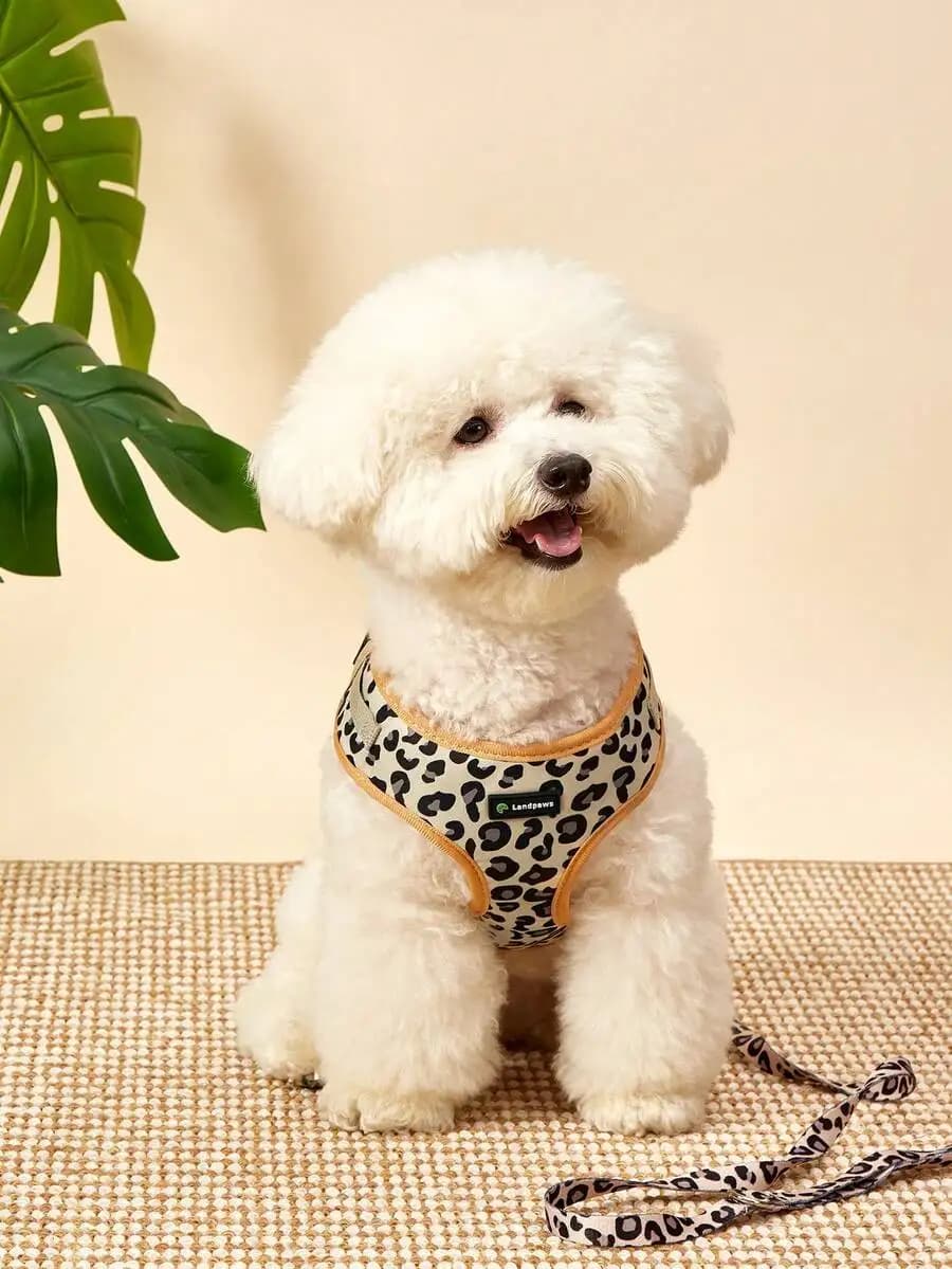 PETSIN Set da Viaggio per Cani 6 Pezzi: Pettorina con Stampa Leopardata, Guinzaglio, Collare, Papillon, Bandiera e Porta Sacchetti per Escrementi