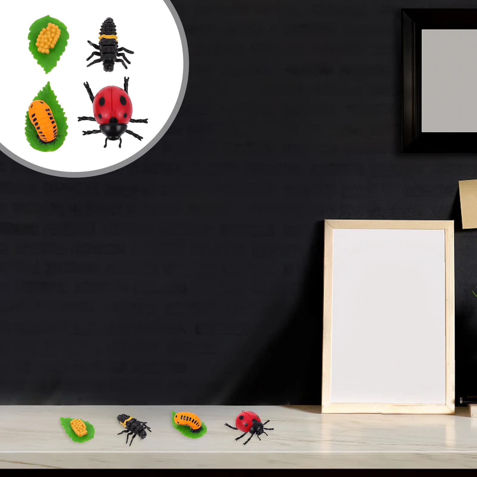 4 Pezzi Decorazioni Ciclo di Vita Coccinella in Plastica Premium, Oggetti di Scena Educativi per Giochi di Ruolo per Bambini, Apprendimento Prescolare del Ciclo della Vita