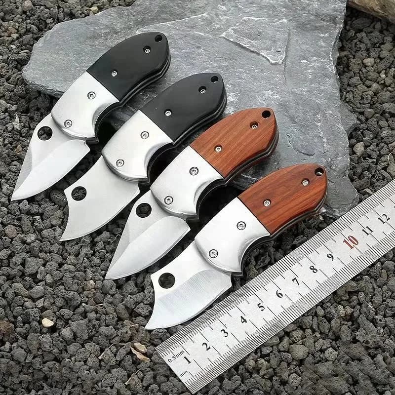 Mini Stainless Steel Folding knife Portable pocket knife for domestic use CR13 Small multifunction knife Fruit knives Kitchen tool