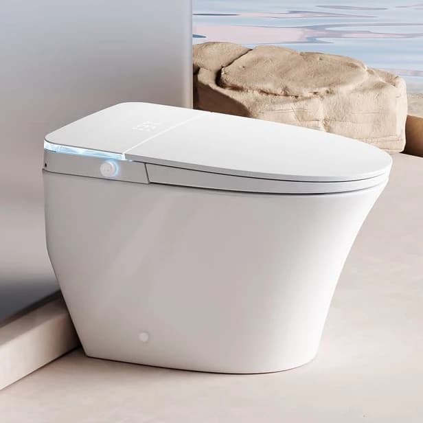 Smart Toilet Ceramic for Hotel, Bidet Electric, Sanitary ETL CUPC, Toilet Smart Monobloc for Bathroom