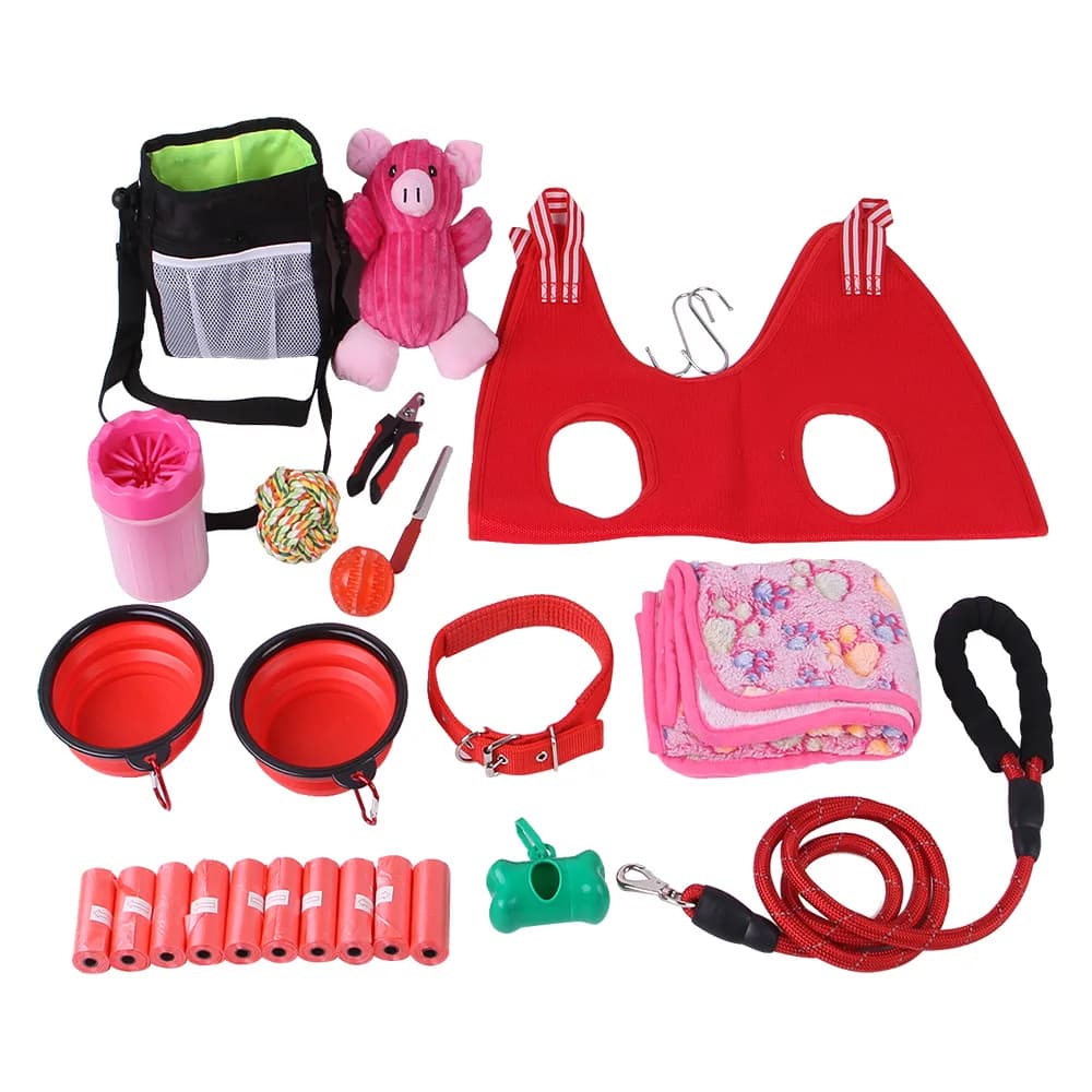 Pink Puppy Starter Kit for Small Dogs – Feeding Bowls, Bow Collar, Leash, Blanket, Squeak Toys, Grooming Tool