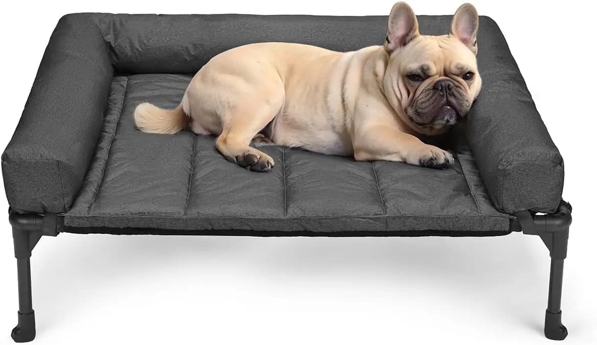 Cuccia Rinfrescante Rialzata per Cani con Cuscino Impermeabile Rimovibile, Rete Traspirante, Piedini Antiscivolo per Uso Interno ed Esterno, Taglia Media Nera