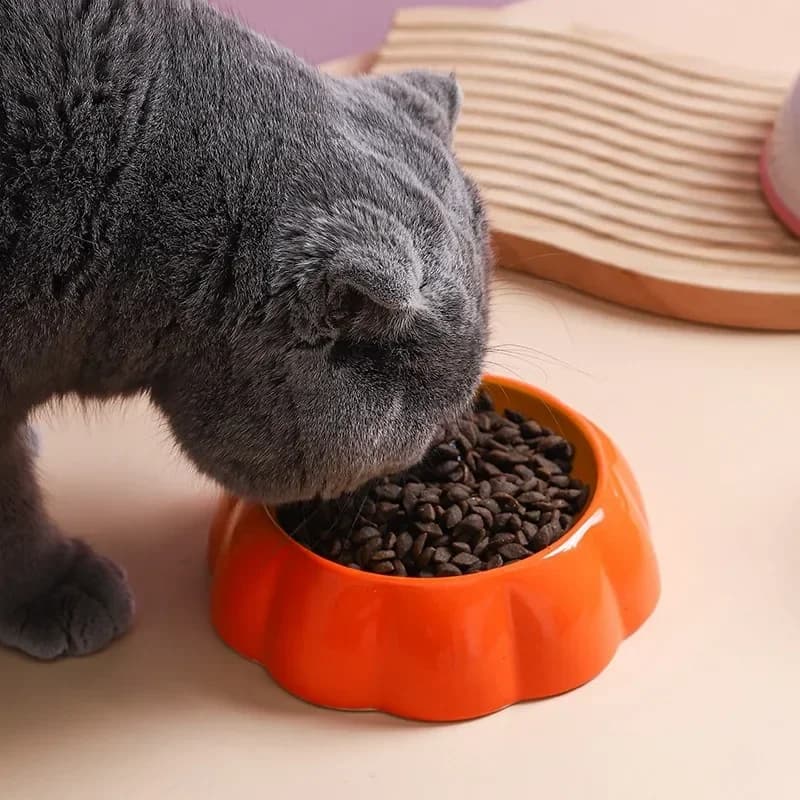 Ciotola in ceramica per animali domestici dal design carino Ciotola per cibo per cani per gatti a forma di anguria e fragola Forniture per animali Ciotola per cibo per gatti