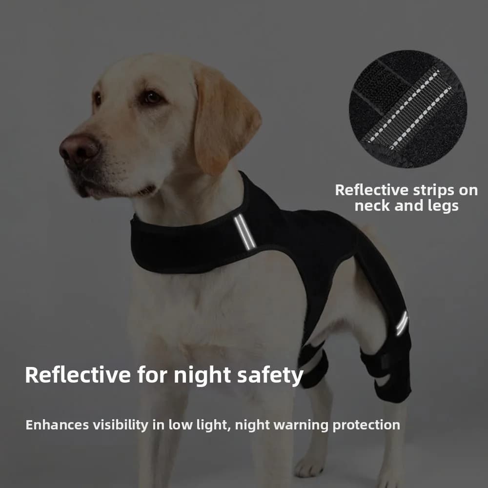 Supporto Regolabile per Zampe Posteriori di Cani, Design Riflettente, Traspirante, Protezione Anti-Sbucciatura, Ginocchiera Nera per Cani