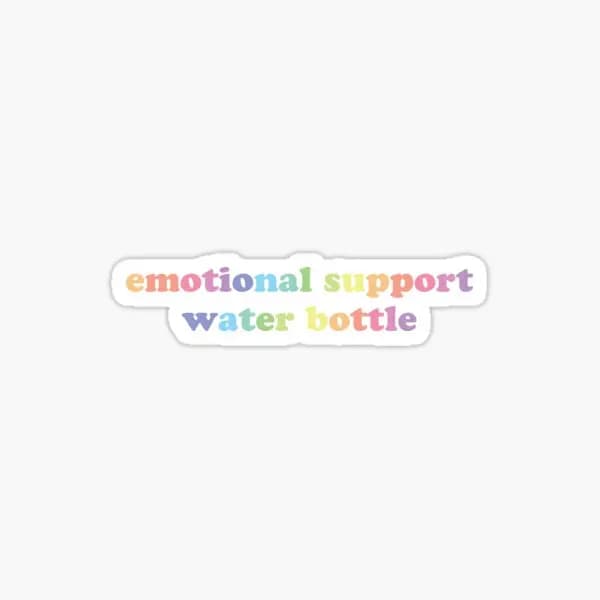 Emotional Support Water Bottle 5PCS Stickers for Cute Water Bottles Stickers Funny Luggage Art Home Window Cartoon Living Room