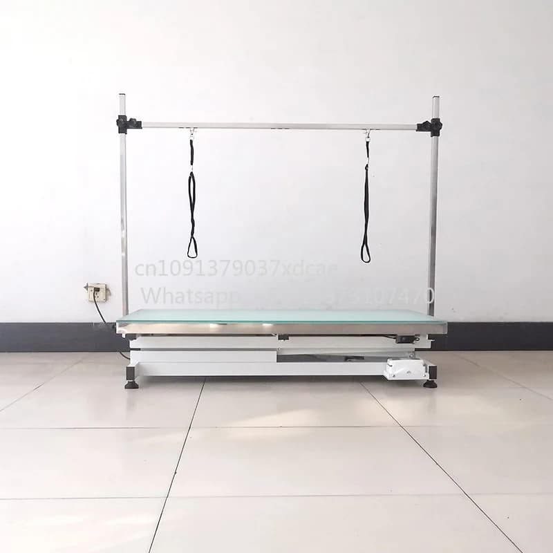 2026 New Electric Cross Lifting LED Light Pet Large Dog Grooming Table Sustainable And Charged Power Source On Sale