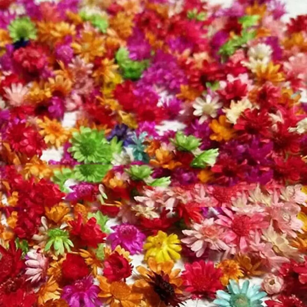 100 pcs Flower Secco Natural Paglia Bucket Heads of Chrysanthemum FAI FROM THE Aromatherapy Candle Making Crafts Home Decorations Wedding Decorations