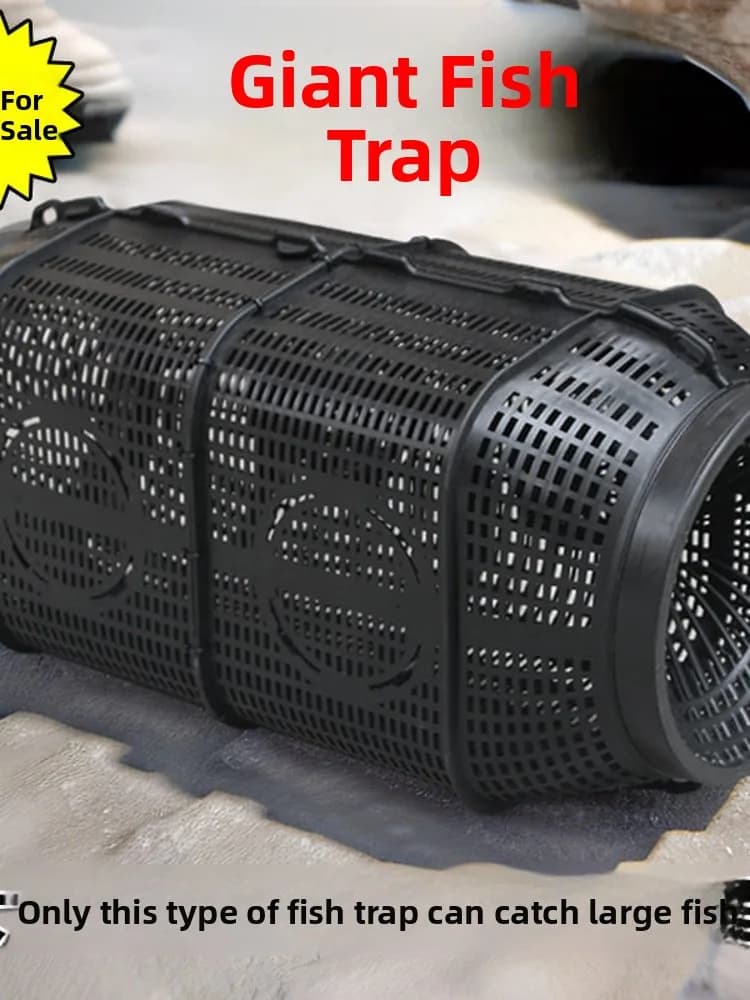 Thick Plastic Fish Trap Shrimp Cage Only in Not out Large Size Lobster Net Cage Fishing Tool Anti Escape Yellowtail Perch
