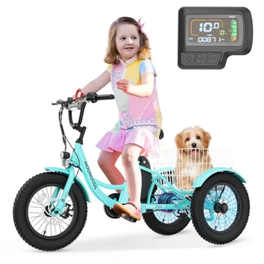 Triciclo Elettrico per Giovani 250W, Telaio in Alluminio, Etrike 16 Pollici, Bicicletta Elettrica a 3 Ruote, Pneumatici Fat 3.0