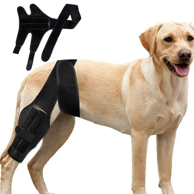 Protezione per Ginocchio Cane Regolabile Nera, Tutore Comodo per Zampa Posteriore, Cuscinetto per Ginocchio per Cura Lesioni Zampe, Protezione Universale per Zampe