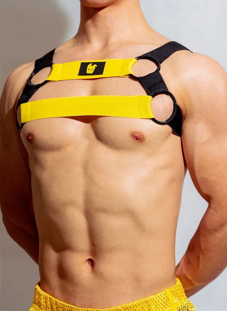 Men Lingerie Male Body Chest Harness Punk Rave Costumes Belt Strap Harness for Party