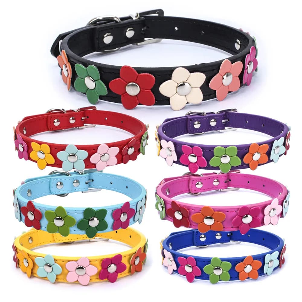 Collare per cani da compagnia con borchie di fiori colorati in pelle PU, cucciolo di gatto, fila singola, carino, regolabile, con tracolla a catena, accessori per animali domestici