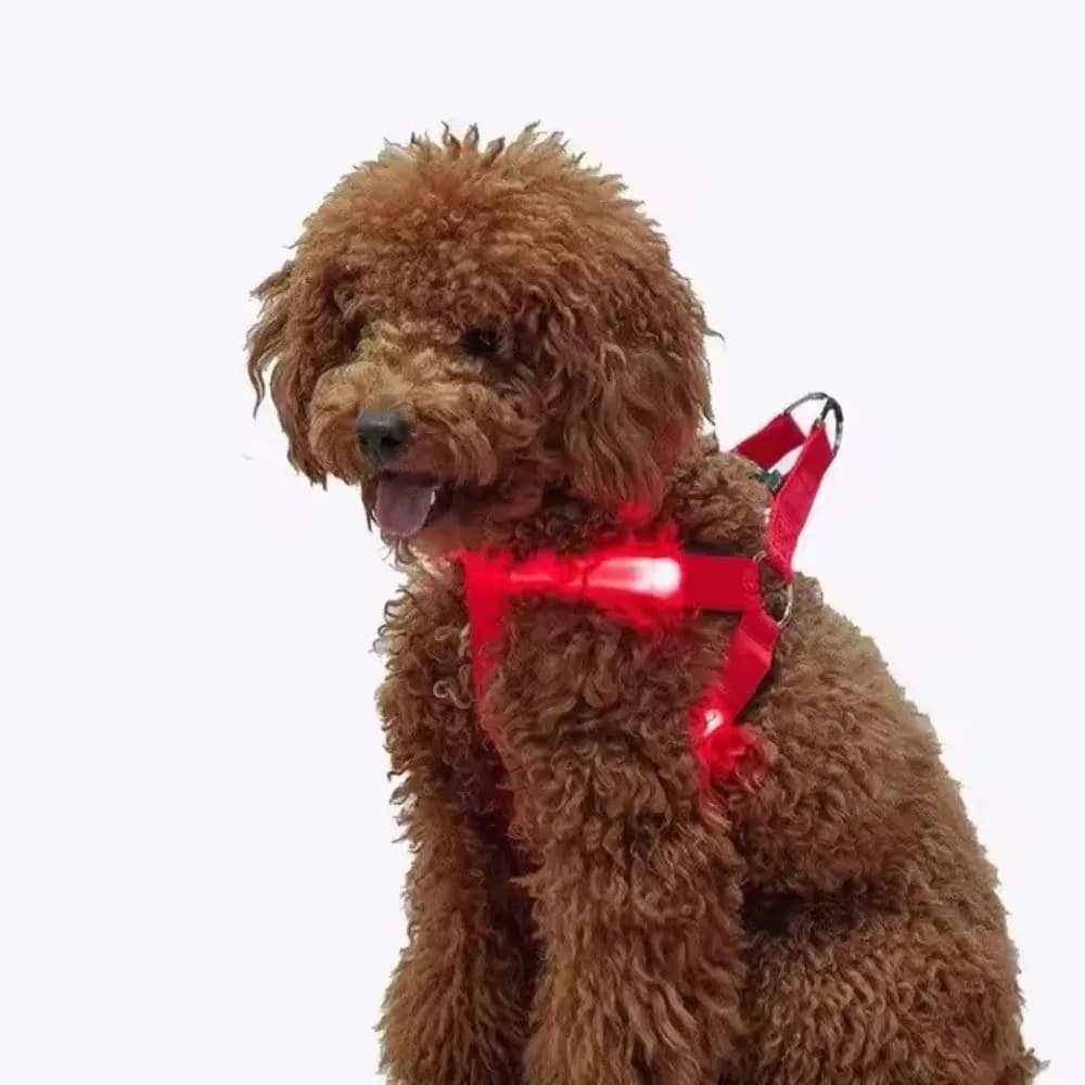 Pettorina per Cani LED Luminosa Durevole, Regolabile e Ricaricabile, Cinturino Luminoso per Animali Domestici, Gilet Lampeggiante Morbido per la Sicurezza degli Animali