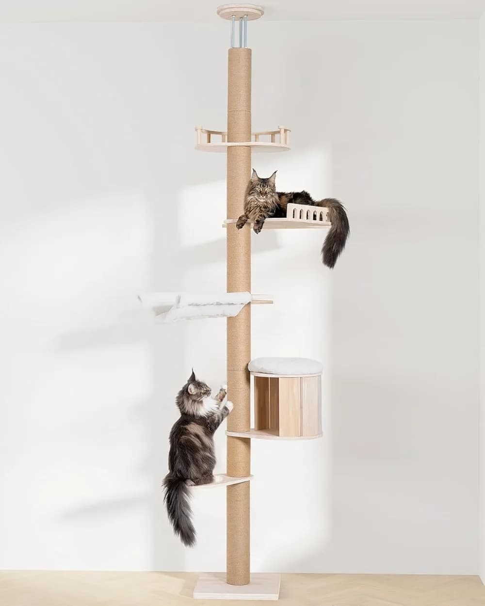 Albero per Gatti Regolabile in Altezza per Gatti Grandi, Torre da Soffitto a Pavimento con Tiragraffi, Cuccia e Amaca