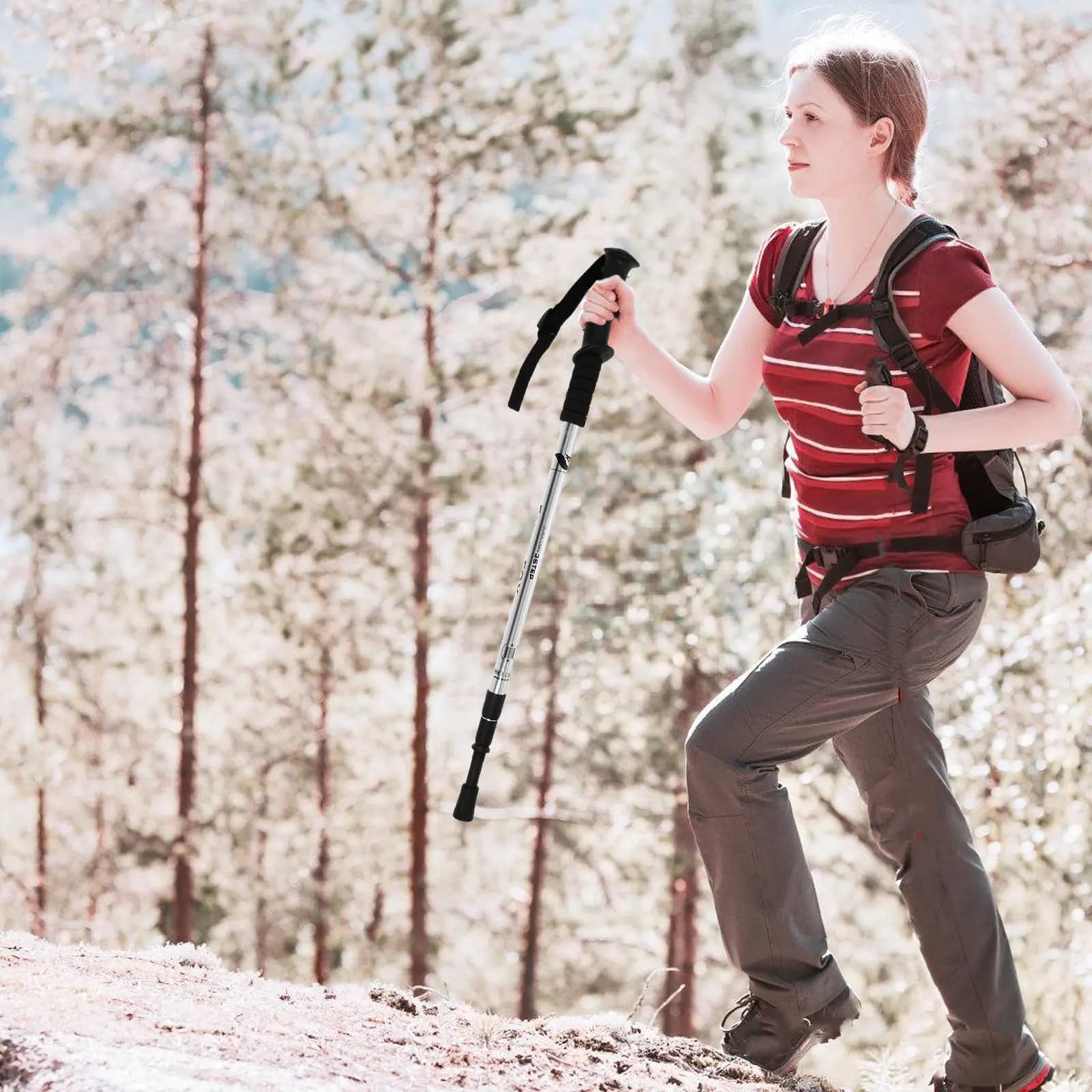Foldable Trekking Sticks in Aluminum Alloy, Lightweight and Anti- impact, Mountain Climbing Equipment