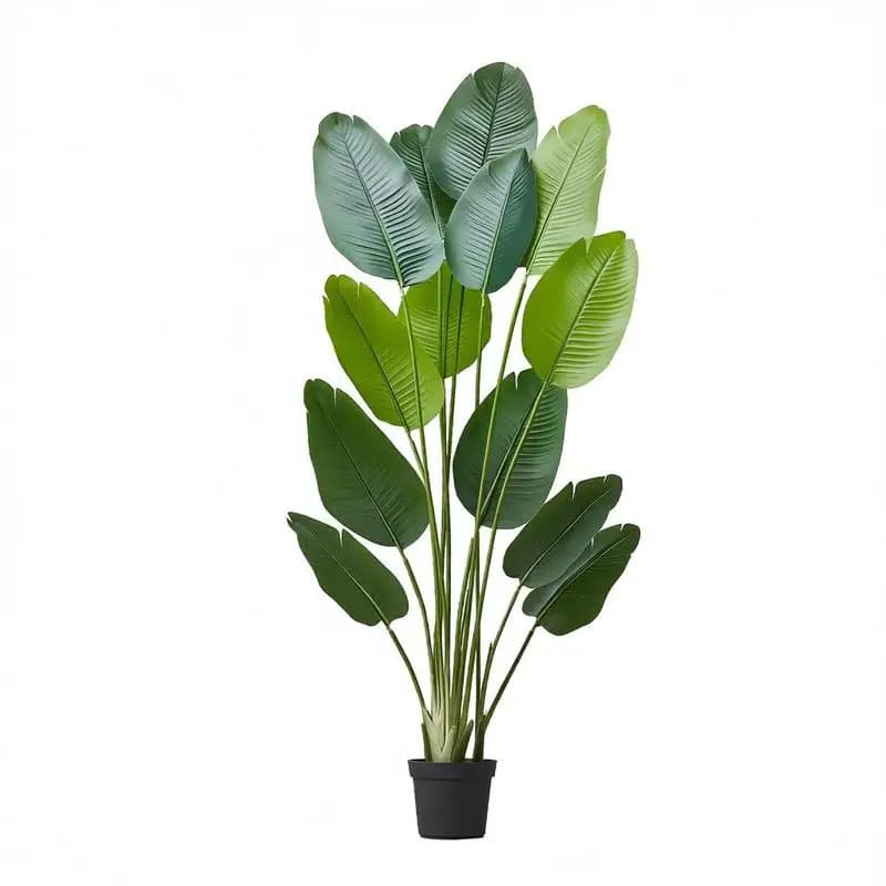 Albero Artificiale di Paradiso Artificiale Alto 1,8 m, Piante Tropicali Finte con 13 Tronchi e Vaso Bianco, Albero in Seta Sintetica da Pavimento, Grandi Alberi per Arredamento Casa Ufficio Soggiorno, Idea Regalo per la Casa, Interni ed Esterni