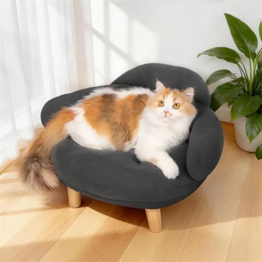 Divano per Gatti Stile Arredamento con Rivestimento Rimovibile in Velluto di Cotone e Gambe in Legno di Pino Massiccio per Gatti e Cani di Piccola Taglia