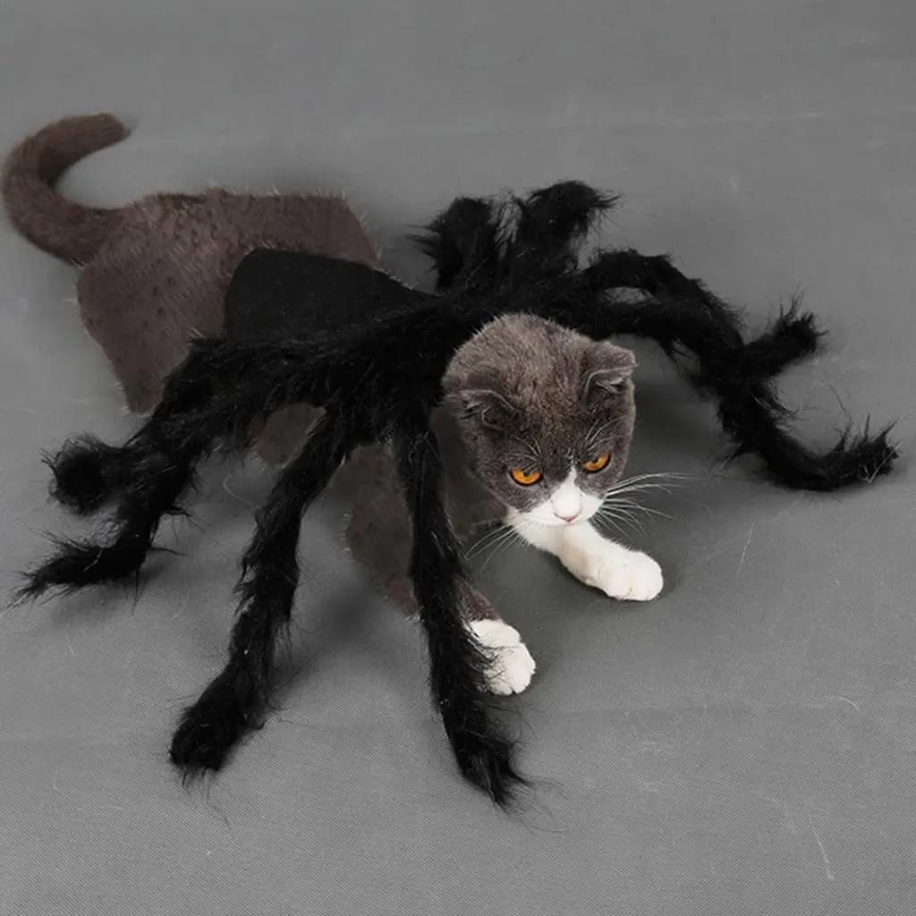 Nuovo costume da ragno per animali domestici per cani Pasqua Halloween Vestiti Festival Fantasia
