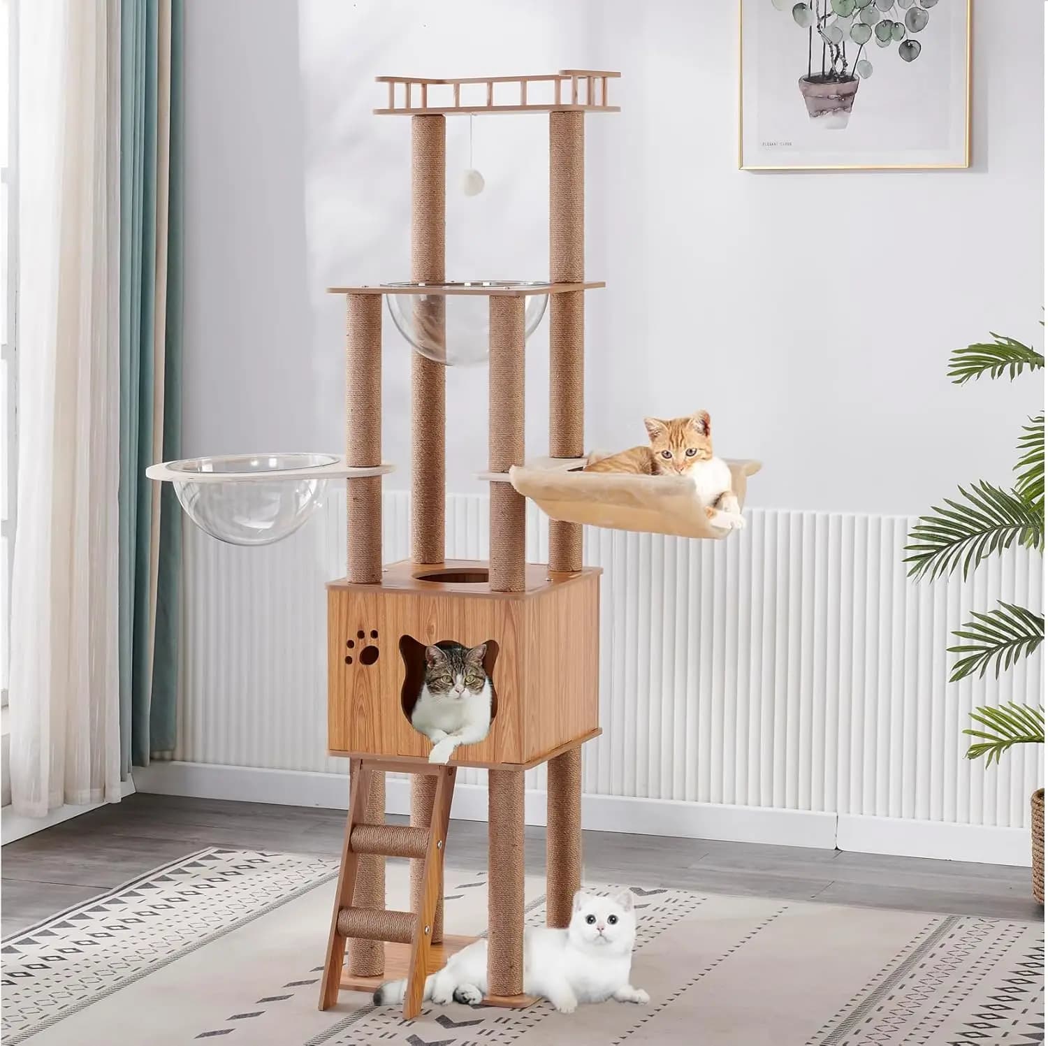 Albero per Gatti da Interno Grande e Divertente: Albero per Gatti in Legno da 61'' con Cuccia, Tiragraffi e Amaca