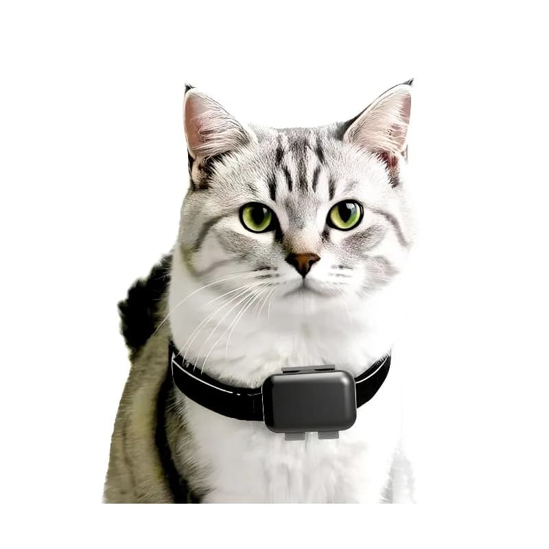 Smart Device Pets Tracker Sound Light Seek Pet Function Comfortable Carrying Collar for Dogs Cats