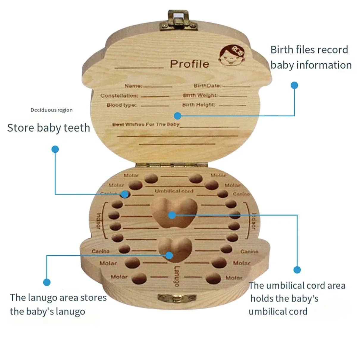 HOMFISH Scatola portaoggetti in legno per denti da latte Scatola portaoggetti in legno per denti per bambini Scatola commemorativa per bambini che raccoglie il cavo ombelicale Storag